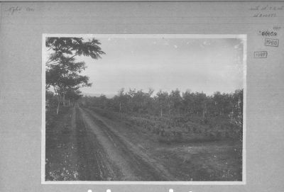 O04-00059.jpg