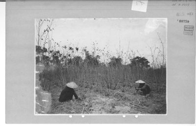 O04-00759.jpg