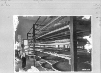 O04-00775.jpg