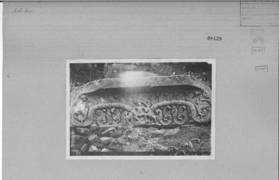 O14-08429.jpg