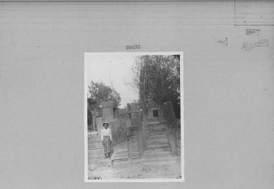 O15-09455.jpg
