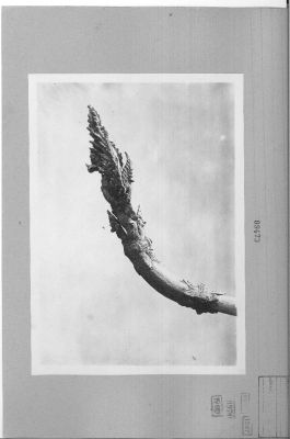 O15-09473.jpg