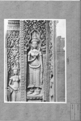 O16-10021.jpg