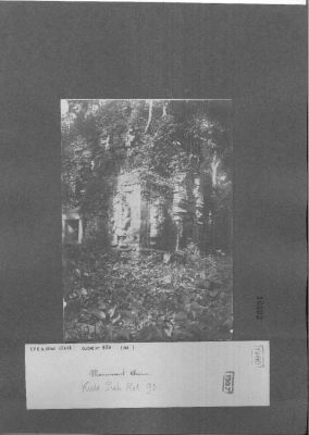 O17-10892.jpg