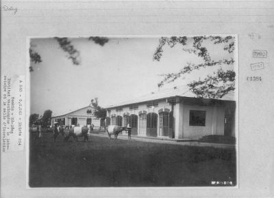 O42-01384.jpg