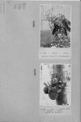 O47-00575-00576.jpg