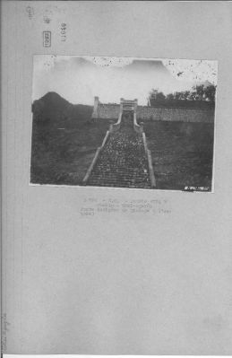 O57-01040.jpg