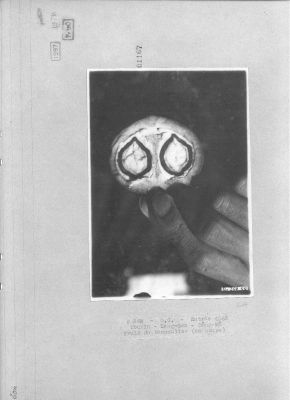 O57-01167.jpg