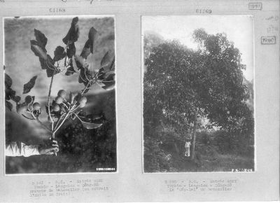 O57-01168-69.jpg