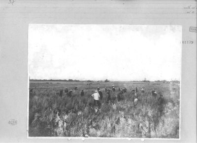 O57-01179.jpg