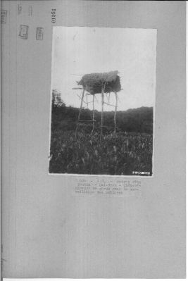 O57-01951.jpg