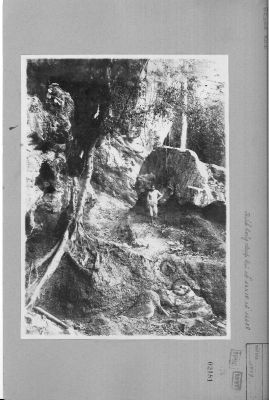 O58-02181.jpg