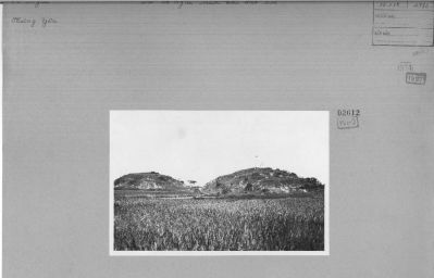 O58-02612.jpg