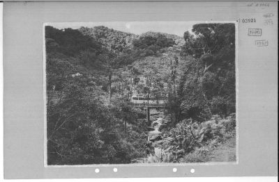 O60-03921.jpg