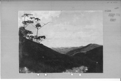 O61-04226.jpg