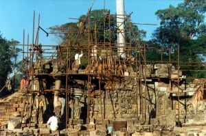 Restauration de la terrasse des éléphants