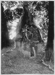 Prasat Kravanh, une des tours de brique avant les dégagements, juillet 1935, H. Marchal