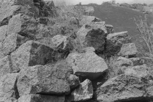 Remparts, colline de Savandurga EFEO_DELJ00848