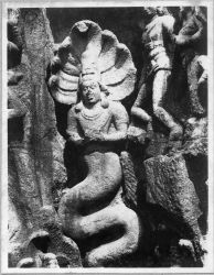 Naga, relief de la descente du Gange à Mahabalipuram