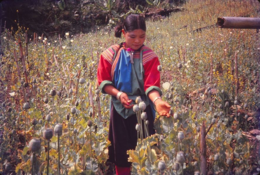 A Lisu woman is scraping the opium. EFEO_KLEO00187