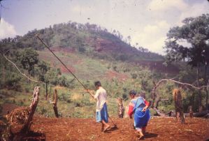 Hommes et femmes cultivant le riz selon les techniques traditionnelles
