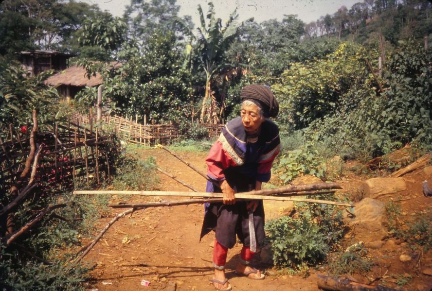 An old Lisu woman is collecting firewoods. EFEO_KLEO00612
