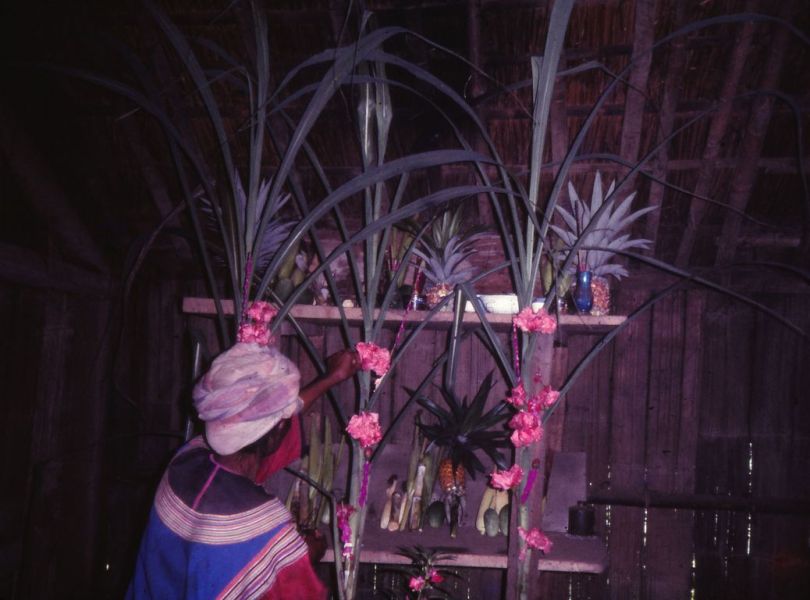 A Lisu woman is putting a flower on her ancestor altar to celebrate harvest offering. EFEO_KLEO00627