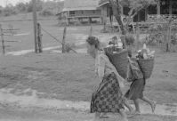 Jeunes filles Lao Theung transportant des pousses de bambou, province de Borikhaxay, Muong Borikane, 1971