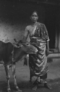 Mel Seval, maison Mujannar, portrait d'une femme accompagnée d'une vache EFEO_REIM08313